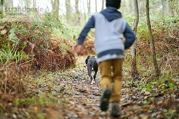 Junge jagt Hund auf Waldweg