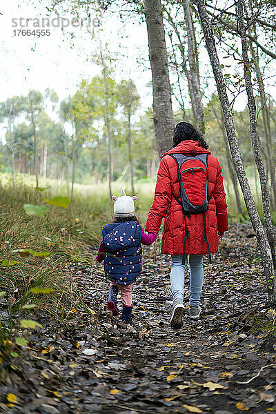 Mutter und Tochter halten sich an den Händen und gehen im Wald spazieren