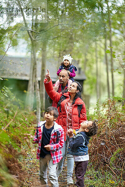 Familienwanderung im Wald