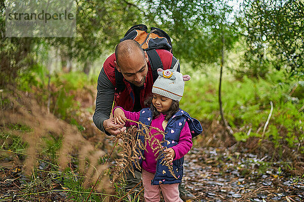 Vater und neugieriges Kleinkind wandern im Wald