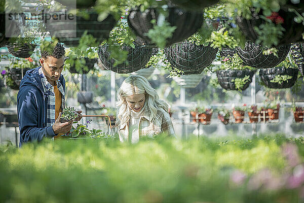 Paar beim Einkaufen von Pflanzen unter Blumenampeln im Gartengeschäft