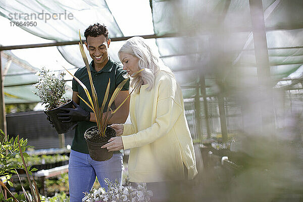 Mitarbeiter einer Gärtnerei hilft einem Kunden mit Pflanzen im Gewächshaus