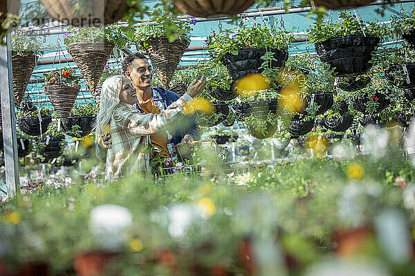 Glückliches Paar beim Einkaufen von Blumenampeln in einem Gartengeschäft