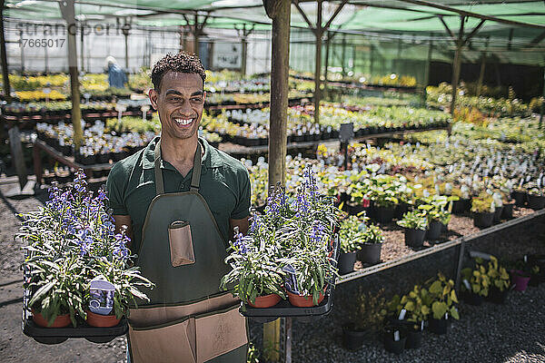 Glücklicher männlicher Gartenladenbesitzer mit Tabletts mit Topfblumen