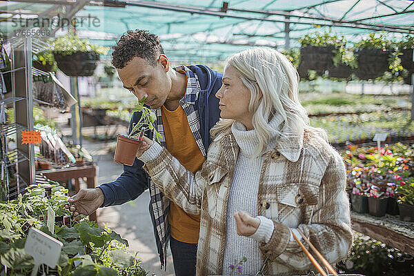 Ehepaar kauft Pflanzen in einem Gartengeschäft