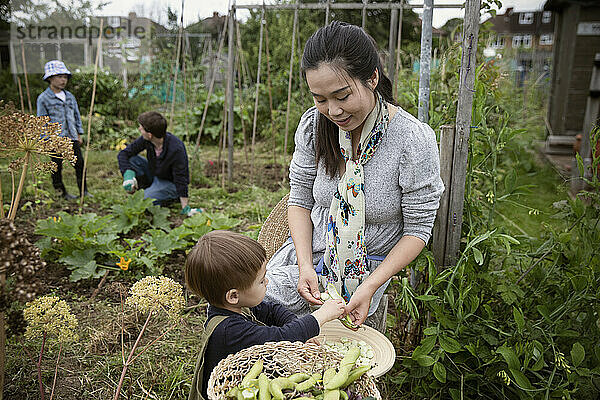 Mutter und kleiner Sohn schälen Butterbohnen im Garten