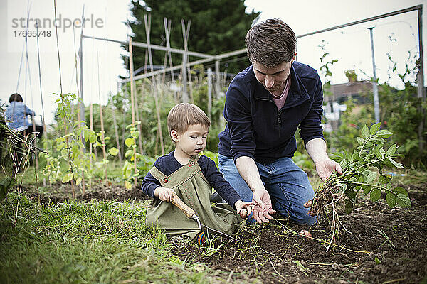 Vater und kleiner Sohn arbeiten im Garten