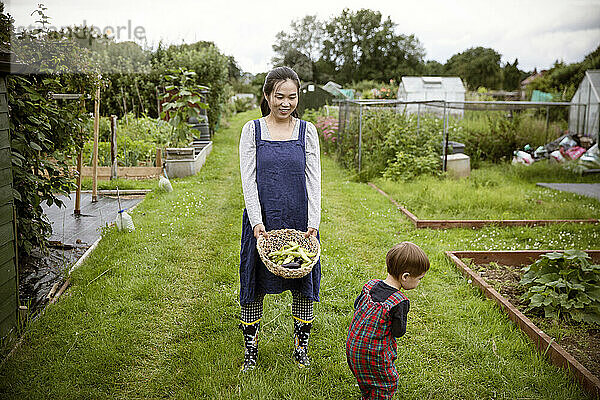 Mutter und kleiner Sohn ernten Gemüse im Garten