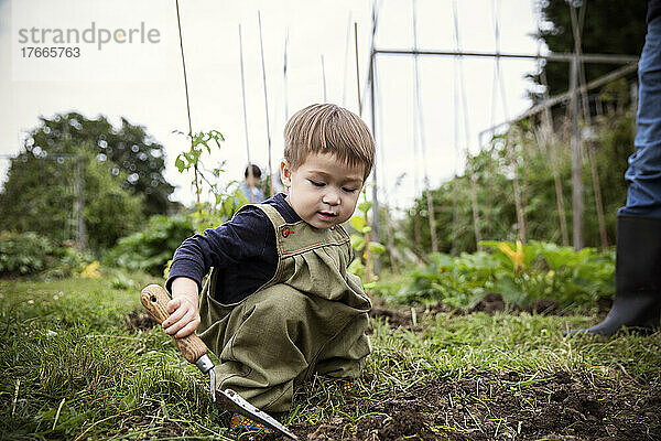 Niedlicher kleiner Junge  der im Hinterhof im Garten arbeitet
