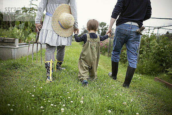 Familie hält Händchen und geht im Gartengras spazieren