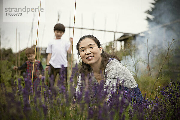 Porträt einer glücklichen Frau  die sich um Lavendelpflanzen im Garten kümmert