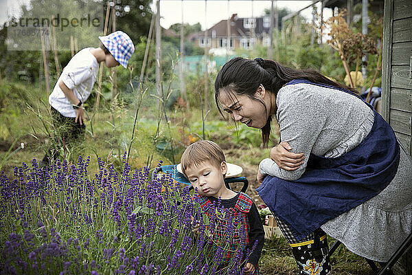 Mutter und kleiner Sohn betrachten Lavendelpflanze im Garten