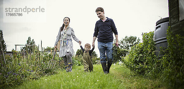 Familie hält Händchen und geht im Gartengras spazieren