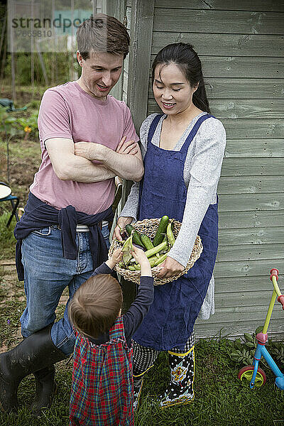 Familie mit geerntetem Gemüse im Garten