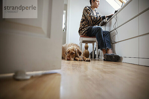 Labradoodle-Hund liegt unter einer Frau  die von zu Hause aus arbeitet