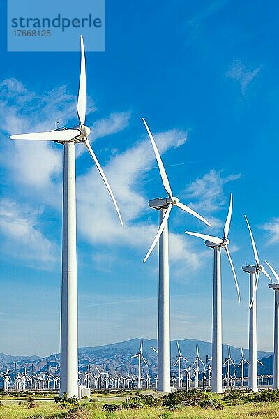 Dramatischer Windkraftanlagenpark in der Wüste von Kalifornien  USA  Nordamerika