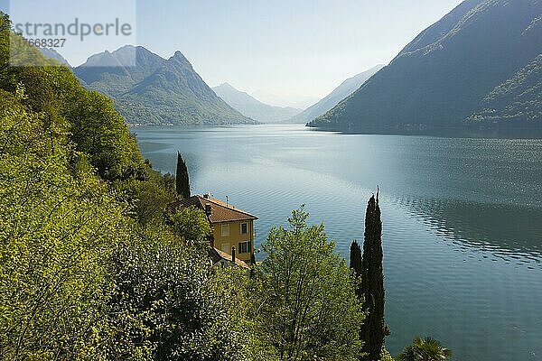 Häuser und Zypressen am See  Gandria  Lugano  Luganer See  Lago di Lugano  Tessin  Schweiz  Europa