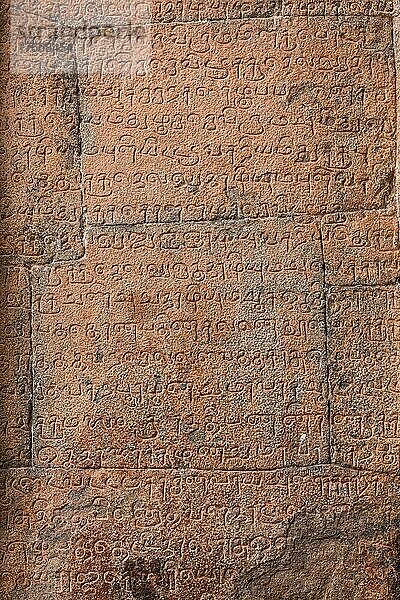 Ancient inscriptions stone wall in ancient Tamil language  Brihadishwarar Temple  Thanjavur  Tamil Nadu  India