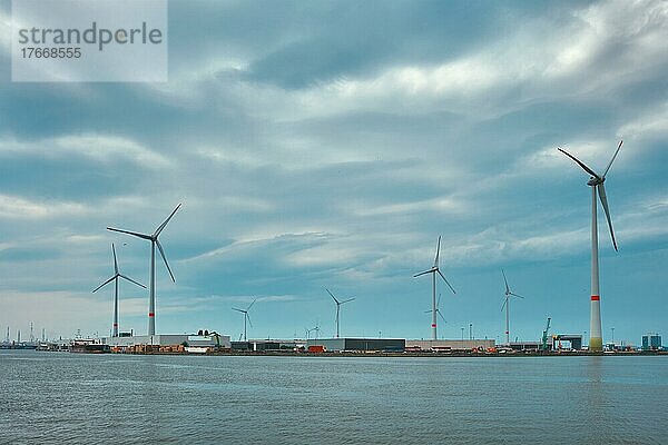 Wind turbines power electricity generators in Antwerp port  Antwerp  Belgium