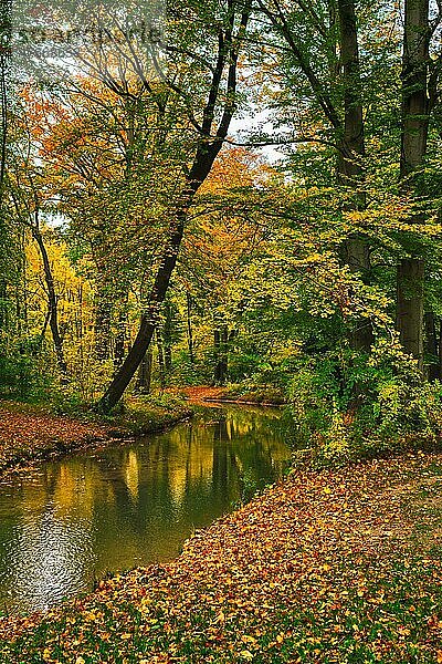 Munich English garden Englischer garten park  Autumn colours on trees and leaves and flowing river  Munchen