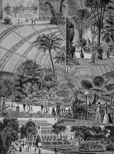 Der Floragarten in Berlin  Charlottenburg  Deutschland  Historisch  digitale Reproduktion einer Originalvorlage aus dem 19. Jahrhundert  Europa