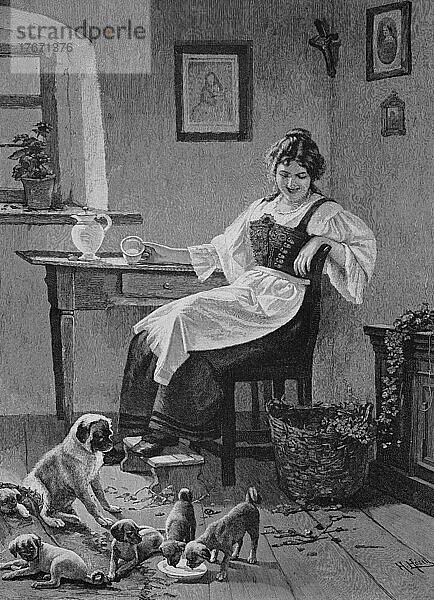 Der Haushund hat viele Welpen  die Hausfrau hat eine Schale mit Milch für die Welpen gegeben  Historisch  digitale Reproduktion einer Originalvorlage aus dem 19. Jahrhundert