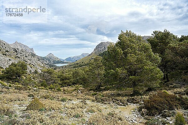 Blick vom Wanderweg GR 221 auf den Stausee Cúber  Serra de Tramuntana  Mallorca  Balearen  Spanien  Europa
