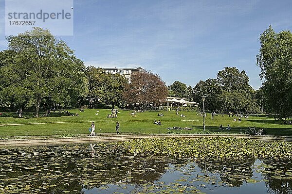 Volkspark am Weinberg  Mitte  Berlin  Deutschland  Europa