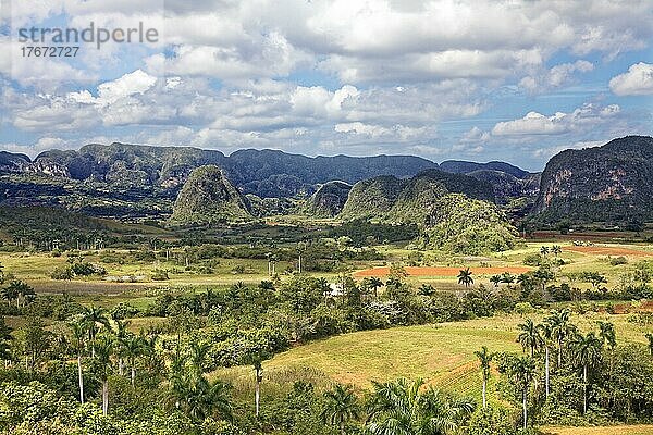 Blick vom Aussichtspunkt Mirador Los Jazmines auf Landschaft  Viñalestal  Valle de Viñales  Mogotes Berge  UNESCO Weltkulturerbe  Sierra de los Órganos  Orgelpfeifengebirge  Provinz Pinar del Río  Kuba  Große Antillen  Karibik  Mittelamerika