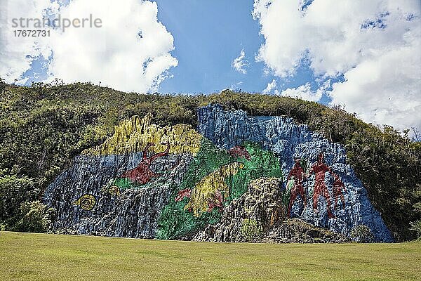 Mural de la Prehistoria  neuzeitliche Felsmalerei nach prähistorischem Vorbild  gemalt 1961 vom mexikanischen Künstler Leovigildo González Morillo  Größe 120x180 Meter  Valle de Viñales  Viñales Tal  UNESCO Weltkulturerbe  Sierra de los Órganos  Orgelpfeifengebirge  Provinz Pinar del Río  Kuba  Große Antillen  Karibik  Mittelamerika