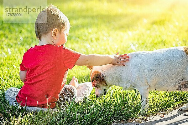 Niedlicher kleiner Junge sitzt im Gras und streichelt seinen Hund