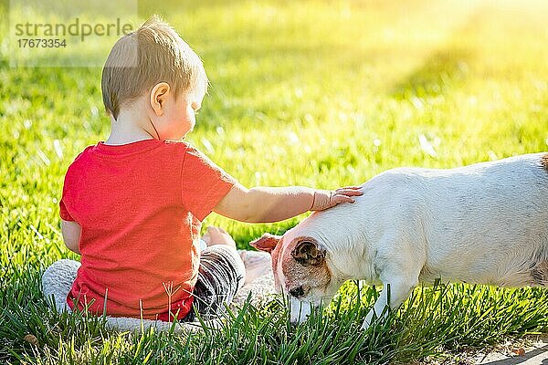 Niedlicher kleiner Junge sitzt im Gras und streichelt seinen Hund