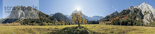 Panorama  Sonnenstern  Karwendel und großer Ahornboden im Herbst  Gelber Bergahorn  Rißtal in der Eng  Tirol  Österreich  Europa