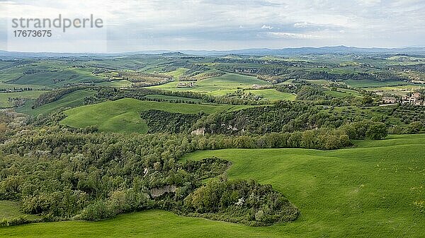 Luftaufnahme  Hügelige Landschaft mit Zypressen (Cupressus)  Crete Senesi  Provinz Siena  Toskana  Italien  Europa