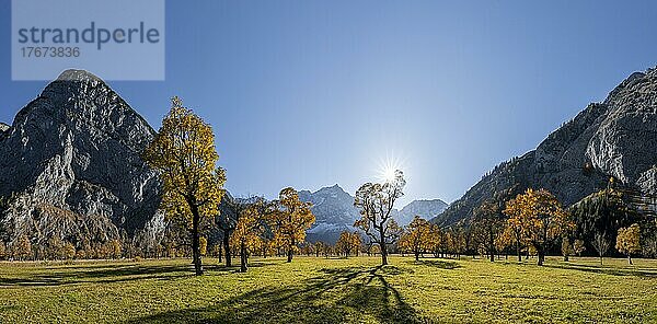 Panorama  Karwendel  Sonnenstern  Großer Ahornboden im Herbst  Gelber Bergahorn  Rißtal in der Eng  Tirol  Österreich  Europa