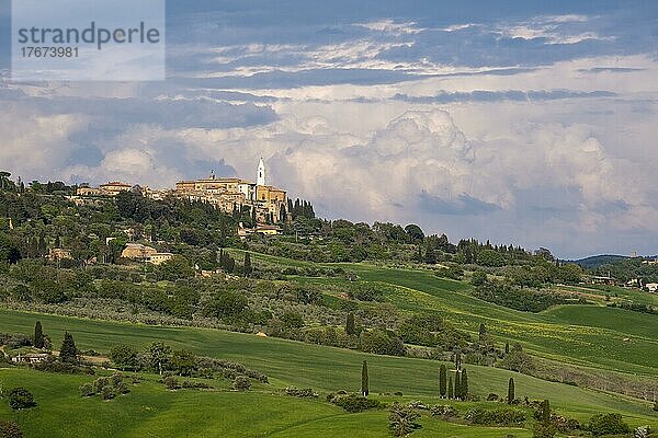 Blick auf Pienza  Val d'Orcia  Orcia-Tal  UNESCO-Weltkulturerbe  Provinz Siena  Toskana  Italien  Europa