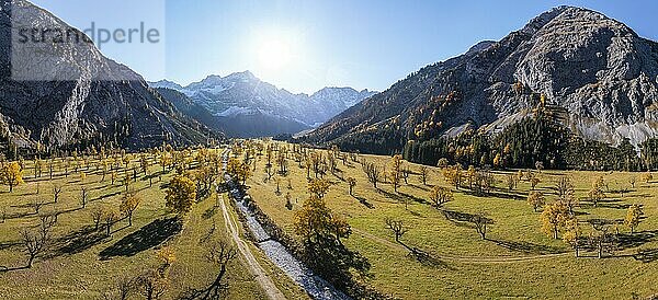 Panorama  Karwendel  Luftaufnahme  Großer Ahornboden im Herbst  Gelber Bergahorn  Rißtal in der Eng  Tirol  Österreich  Europa