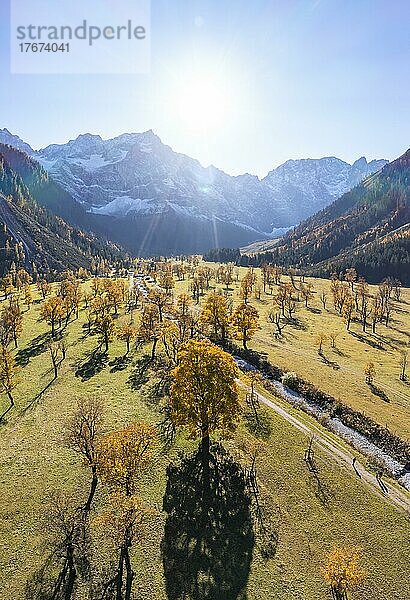 Karwendel  Luftaufnahme  Großer Ahornboden im Herbst  Gelber Bergahorn  Rißtal in der Eng  Tirol  Österreich  Europa