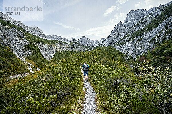 Wanderer auf einem Wanderweg  Aufstieg zum Mitterhorn durch Tal am Lasbach  grüne Berglandschaft  Nuaracher Höhenweg  Loferer Steinberge  Tirol  Österreich  Europa