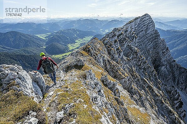 Wanderer mit Kletterhelm  auf Wanderweg an einem Grat  Ausblick auf Berglandschaft  hinten Bergkamm mit Gipfel des Seehorn  Nuaracher Höhenweg  Loferer Steinberge  Tirol  Österreich  Europa