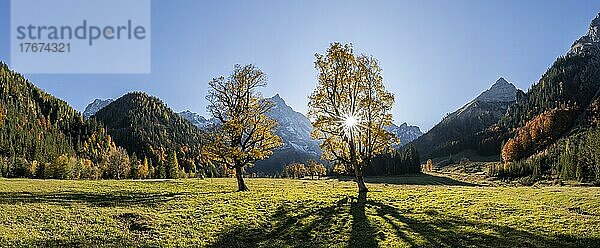 Panorama  Sonnenstern  Spitzkarspitze und großer Ahornboden im Herbst  Gelber Bergahorn  Rißtal in der Eng  Tirol  Österreich  Europa