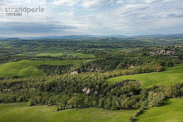 Luftaufnahme  Hügelige Landschaft mit Zypressen (Cupressus)  Crete Senesi  Provinz Siena  Toskana  Italien  Europa