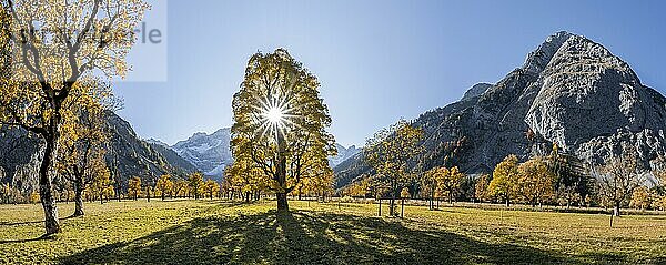 Panorama  Sonnenstern  Karwendel und großer Ahornboden im Herbst  Gelber Bergahorn  Rißtal in der Eng  Tirol  Österreich  Europa