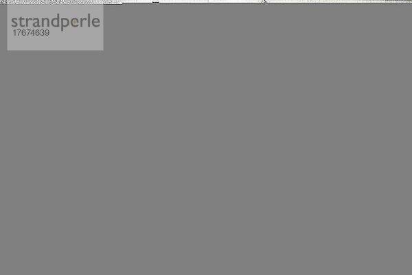Zinkgußornamente aus der Zinkgießerei von L. Weber in Leipzig  im Jahre 1870  Deutschland  1880  digital restaurierte Reproduktion einer Vorlage aus dem 19. Jahrhundert  genaues Datum unbekannt  Europa