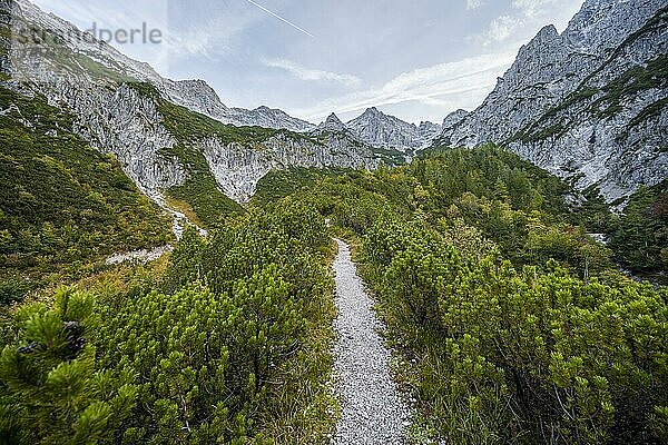 Wanderweg  Aufstieg zum Mitterhorn durch Tal am Lasbach  grüne Berglandschaft  Nuaracher Höhenweg  Loferer Steinberge  Tirol  Österreich  Europa