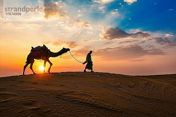Indian cameleer (camel driver) bedouin with camel silhouettes in sand dunes of Thar desert on sunset Caravan in Rajasthan travel tourism background safari adventure Jaisalmer  Rajasthan  India