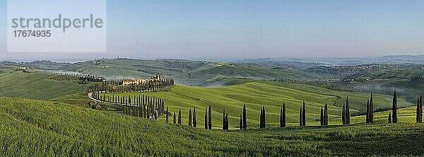 Typisches Weingut  Agriturismo Baccoleno mit Zypressen (Cupressus)  Crete Senesi  Provinz Siena  Toskana  Italien  Europa