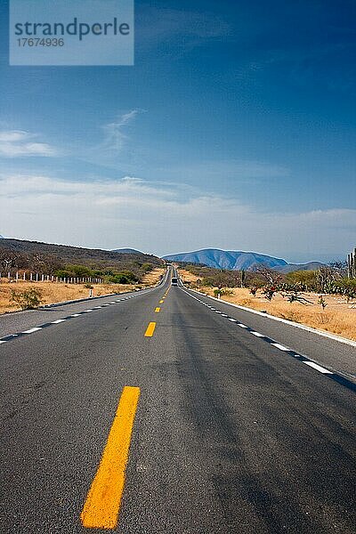 Road in desert in Mexico