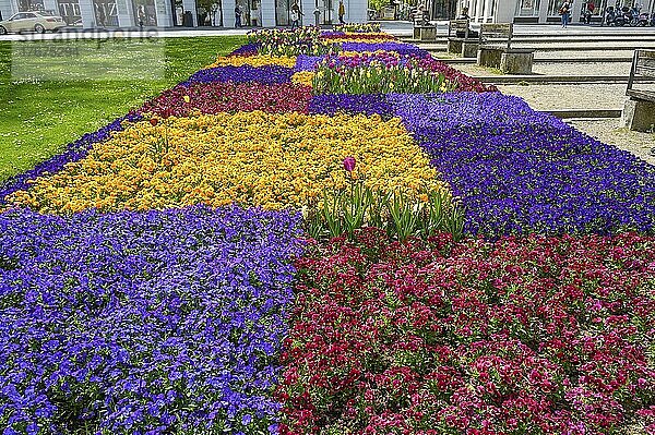Frühlingsbeet am Residenzplatz  Kemten  Allgäu  Bayern  Deutschland  Europa
