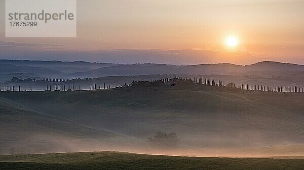 Hügelige Landschaft mit Zypressen (Cupressus)  Sonnenaufgang  Crete Senesi  Provinz Siena  Toskana  Italien  Europa